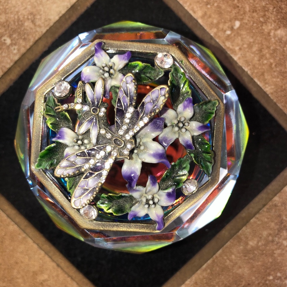 🌼 Dragonfly Decor Jar